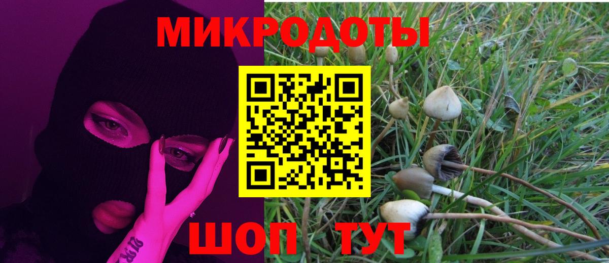 Псилоцибиновые грибы GOLDEN TEACHER Балашиха
